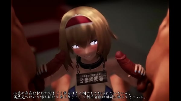 Taka84 - copertura speciale (Touhou)