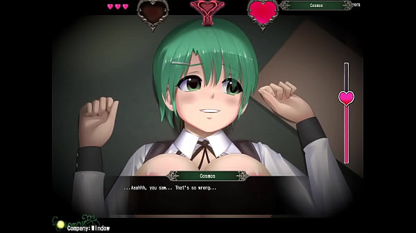 [Iris Chronicle]主角性爱场景